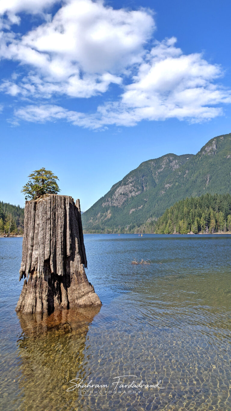 Buntzen Lake Victoria, BC, CANADA