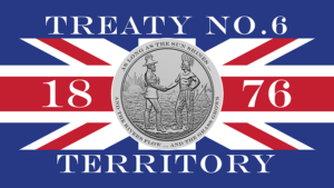 Treaty 6 Territory Flag